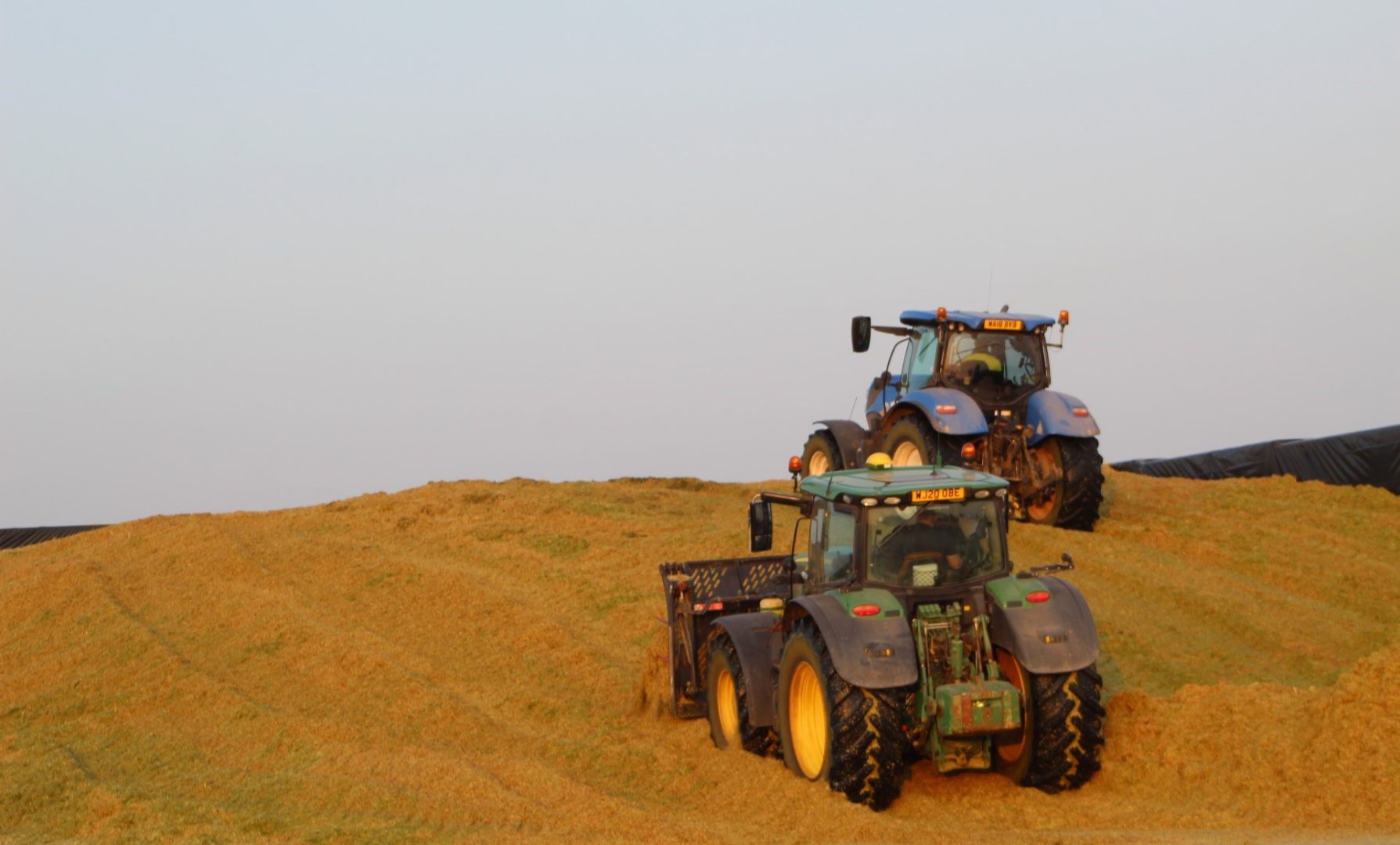 Farmer Alun Sing