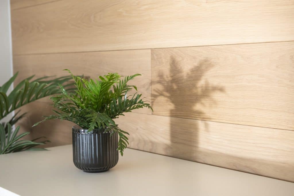 Plant in Leeds office