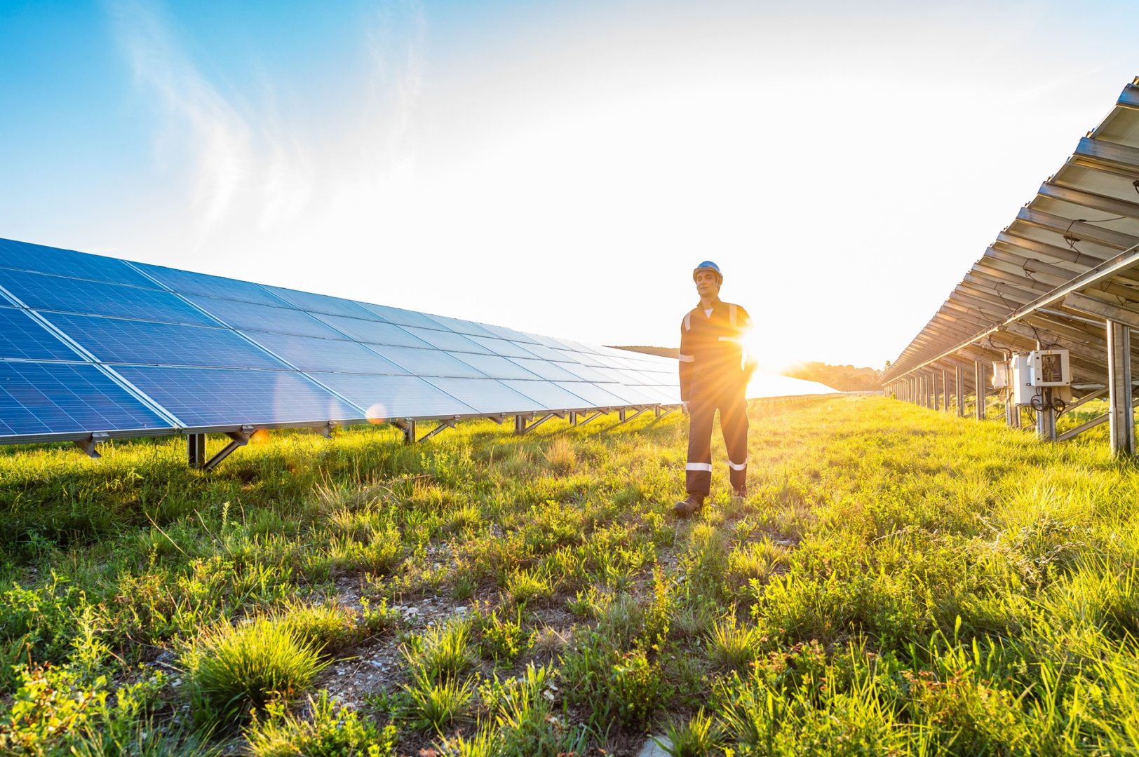 Man walking through field of solar panels