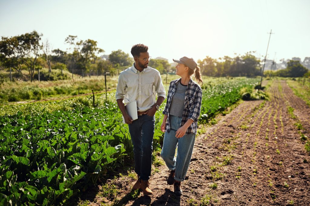 Agriculture manager and farmer meeting, talking and discussing while walking on a farm outside. Planning strategy for harvest season in an eco friendly, organic and sustainable farming industry