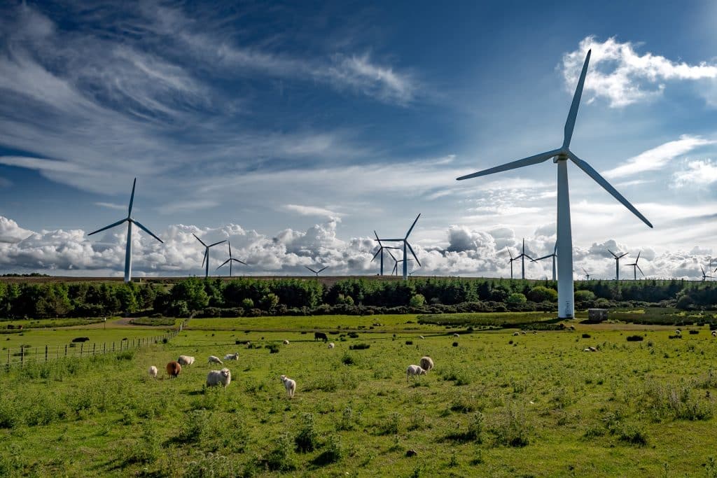 Renewable Business Energy Production In Scotland Wind Turbines
